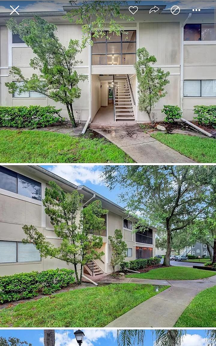 6010 Raintree Lake Ln, Tampa, FL 33617 Zillow