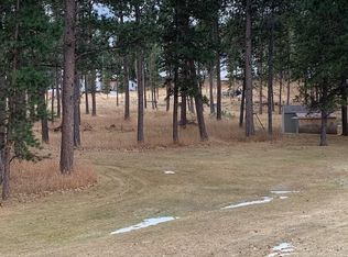 25019 Chandler Dr, Custer, SD 57730