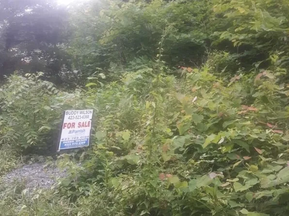 0 Dogwalk Rd, Afton, TN 37616
