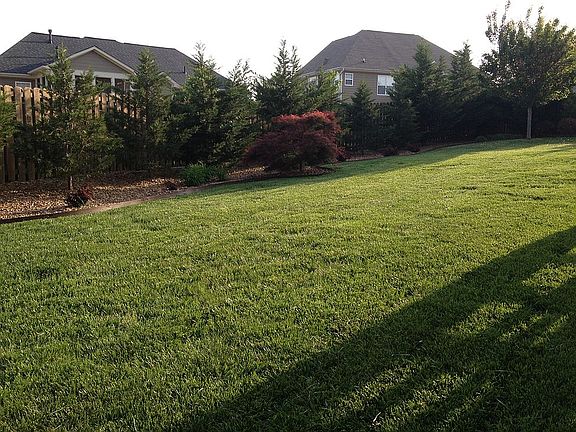 Low Maintanance Yard