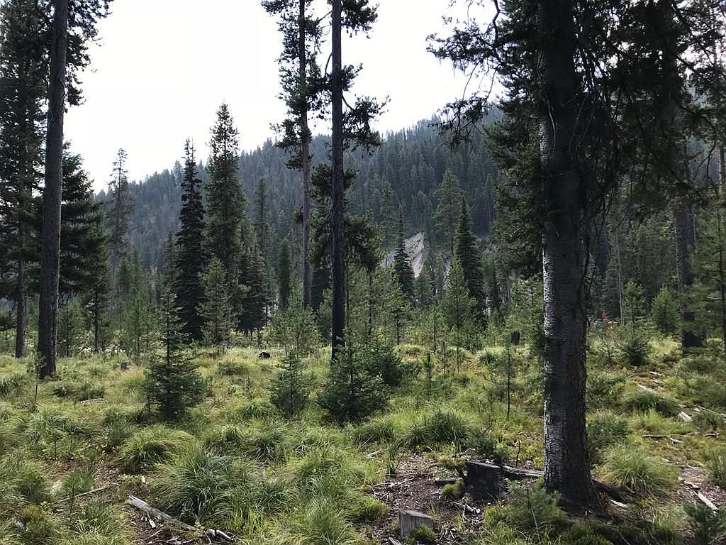 5B Kokopelli Dr, Gibbonsville, ID 83463 MLS 2155667 Zillow