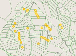 Tbd Overlook Trl, Spring City, TN 37381