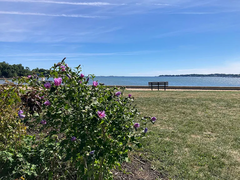 Dane st beach