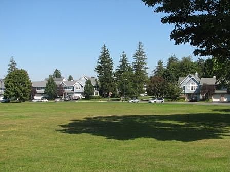 Beautiful Landscapes