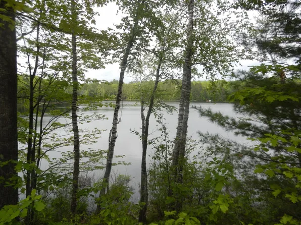 6120 Claire Fire Rd, Land O Lakes, WI 54540