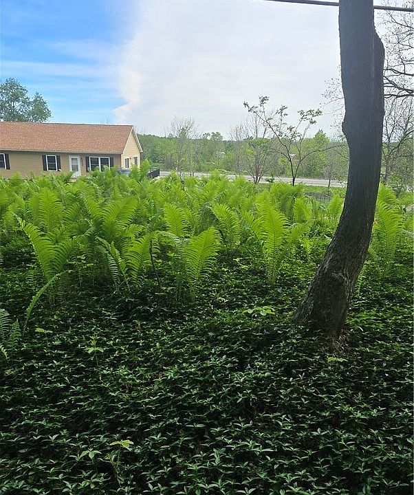 1st image of Saunders Rd Lot 44