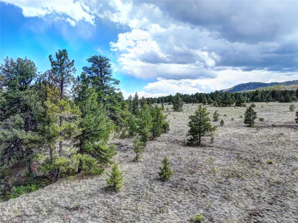 10050 County Rd 102, Guffey, CO 80820