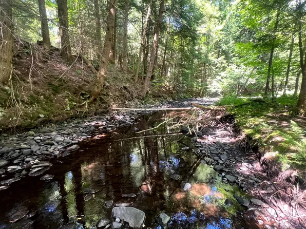 1.1 Trout Run Dr, Altmar, NY 13302