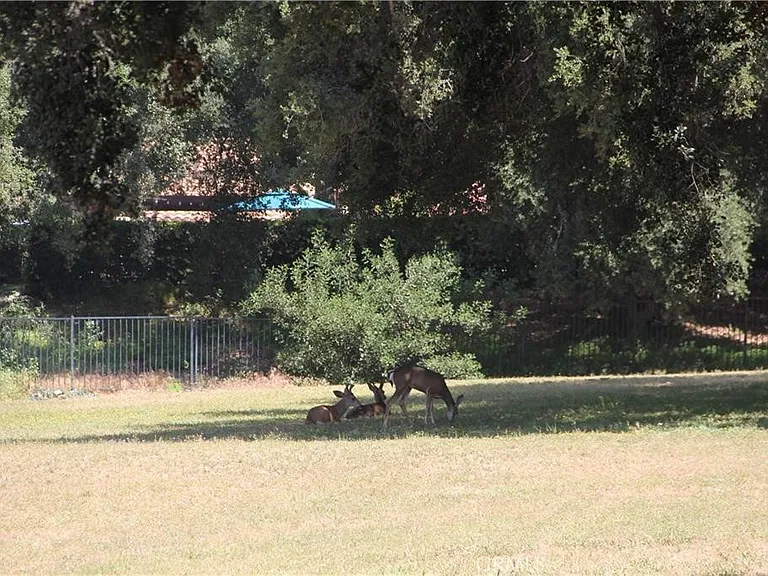2030 Bogie Dr — Photo 26