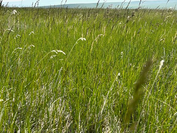 5th image of U Bet Rd