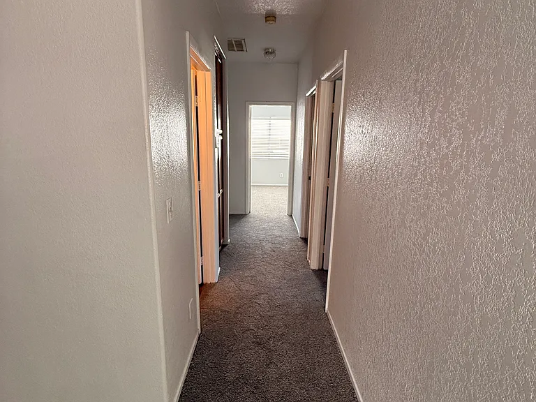 1503 Shotgun Ln — Photo 10