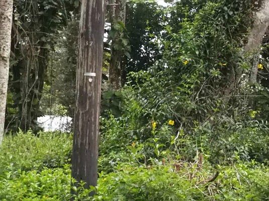 4th image of Nanawale Blvd Lot 689