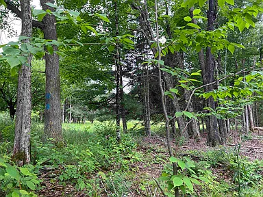 Property photo 62