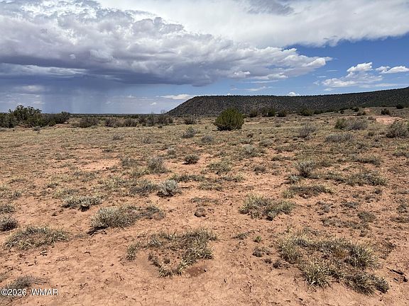 5th image of 3926 Dia Estrella Rd