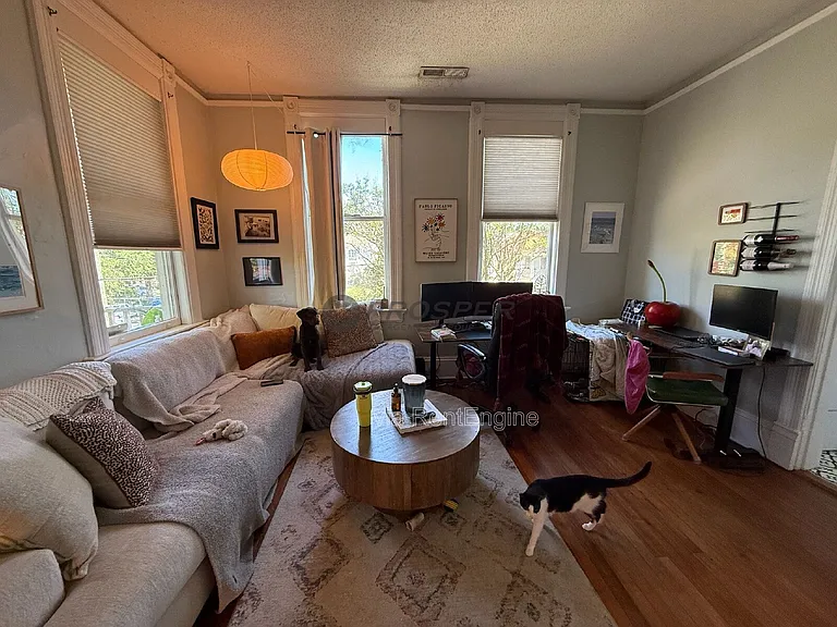 221 Congress St #5 — Photo 3