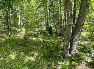 Vl W Packingham, Lake City, MI 49651