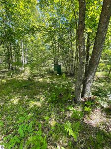 Vl W Packingham, Lake City, MI, 49651