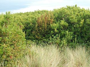 1343 Storm King Way, Ocean Shores, WA 98569