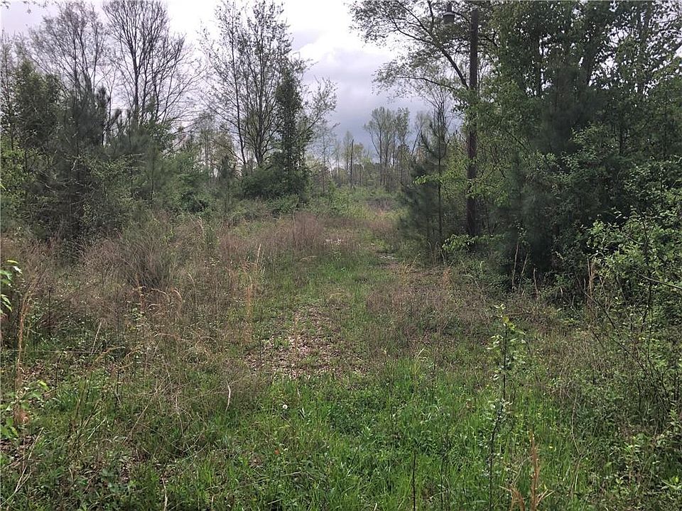 2nd image of 224 Manning Mill Rd