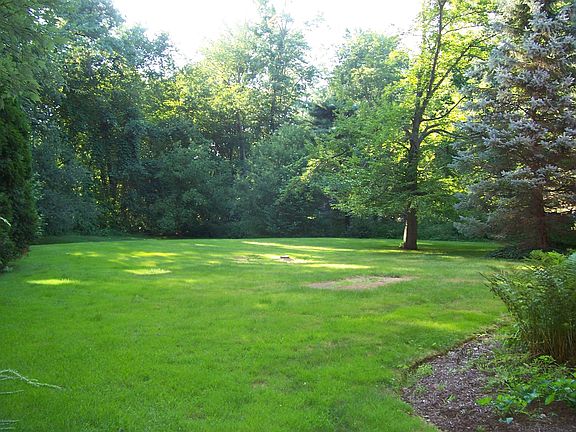 Private backyard with a perimeter of trees, great for children to play 