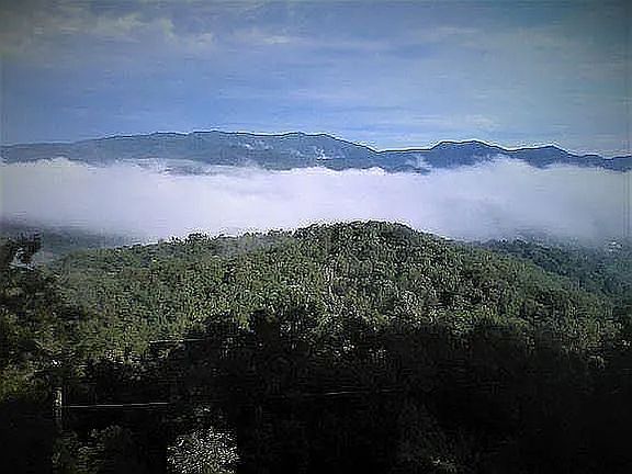 4th image of 397 Graybeard Mountain Trl