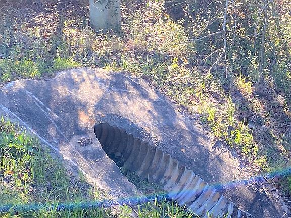 4th image of 8533 Highway 85 N