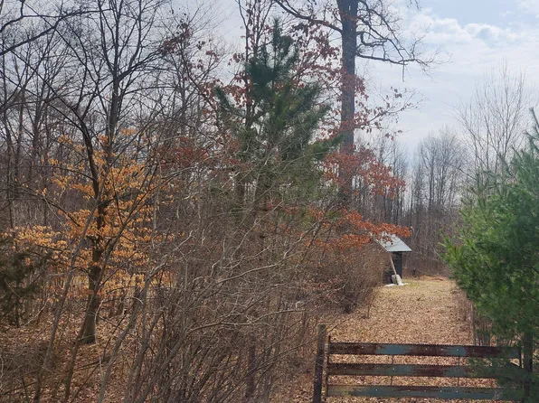 7598 E 40th St, Newaygo, MI 49337