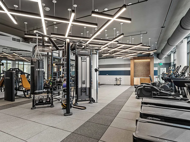 Functional training meets modern design in our premium gym.