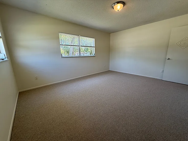 209 Phoenetia Dr — Photo 10