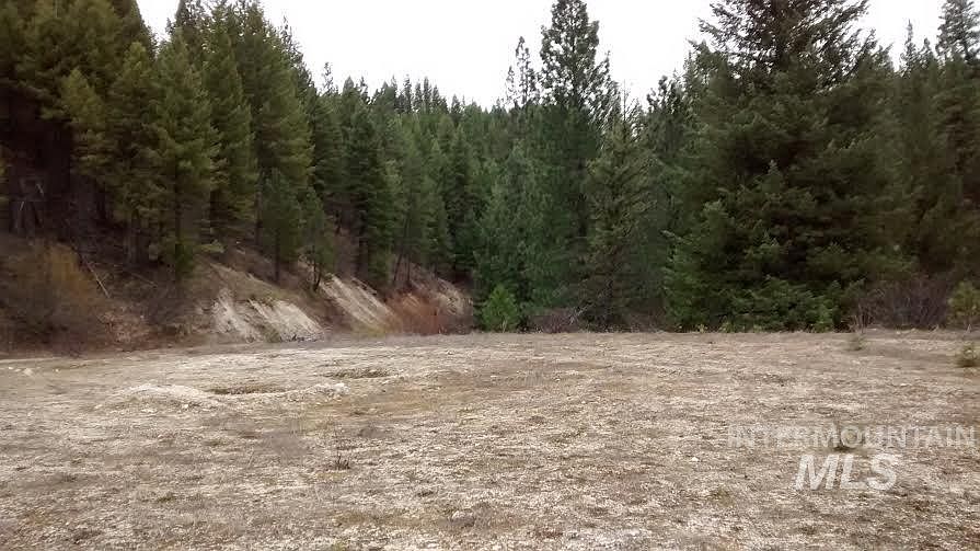 2nd image of 2 Primitive Area At Pne