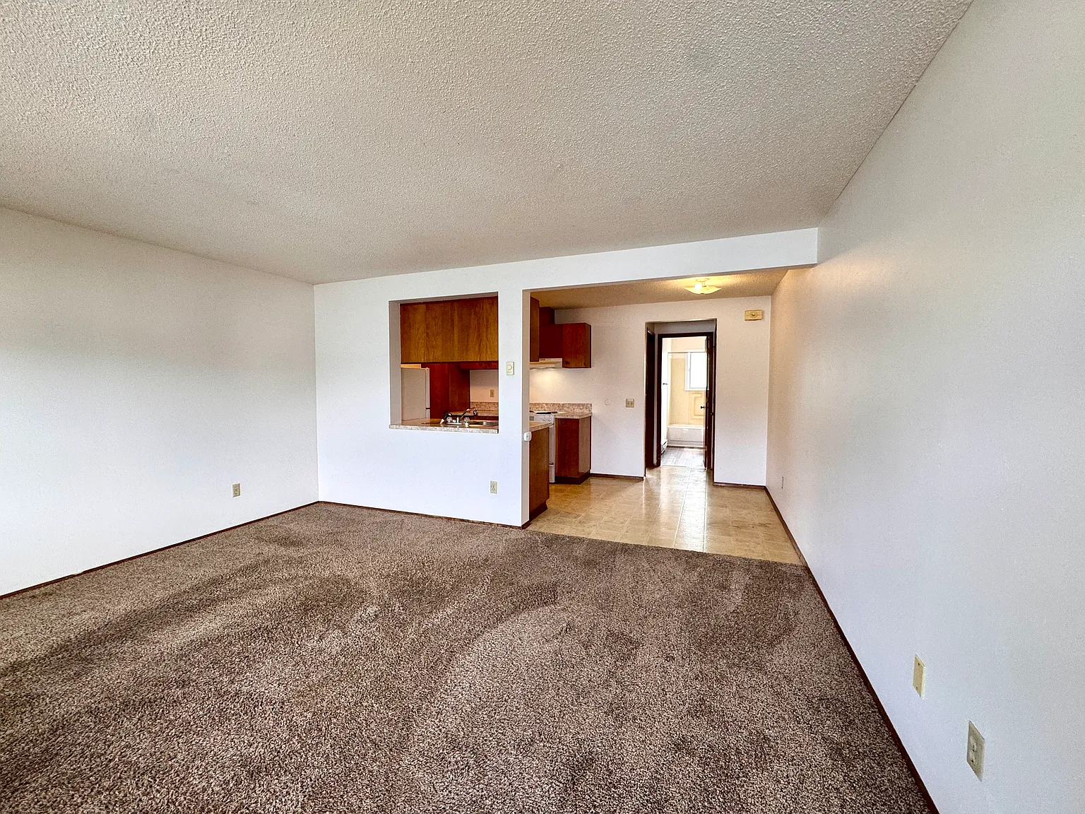 1 bed, 540 sqft, $1,250 — Photo 3