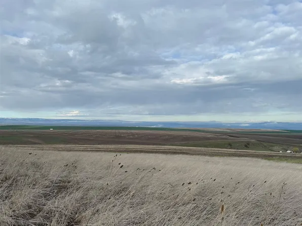 LOT-13A Pheasant Loop Rd, Lewiston, ID 83501