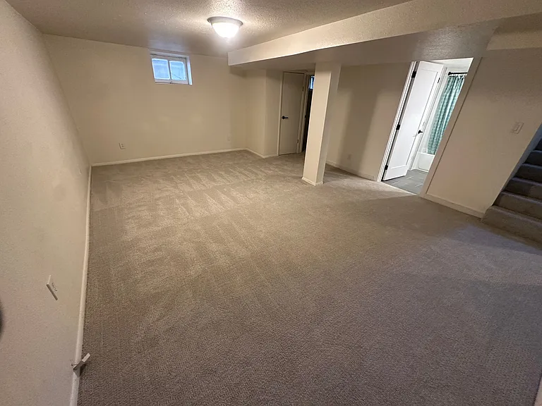 Basement Living Room