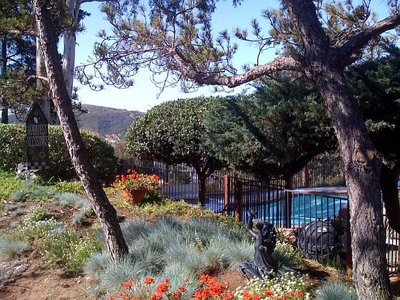Backyard pool