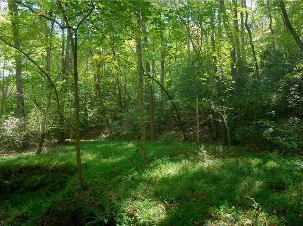 0 Flat Rock Rd, Pinnacle, NC 27043