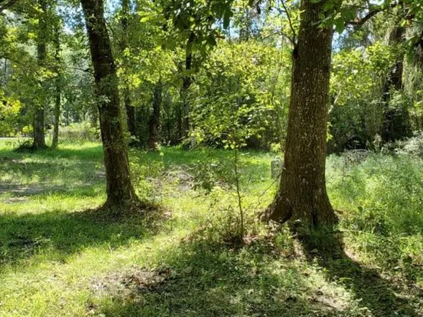 13026 SW Williston Rd #11, Micanopy, FL 32667