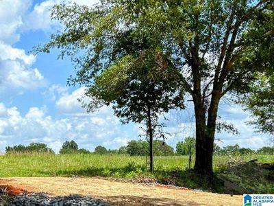 N Hagler Rd #1, Northport, AL, 35475