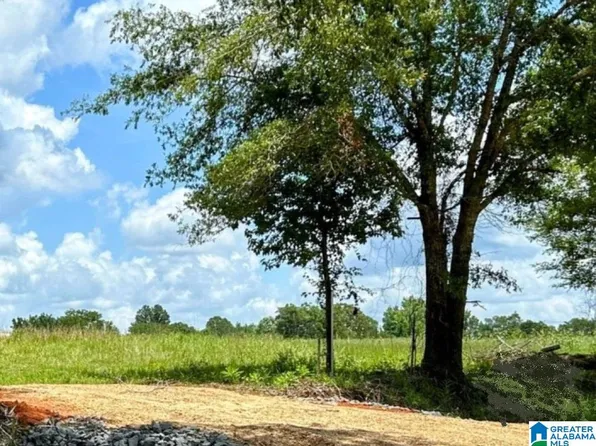 N Hagler Rd #1, Northport, AL 35475