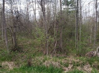 State Rd, Rock Creek, OH 44084