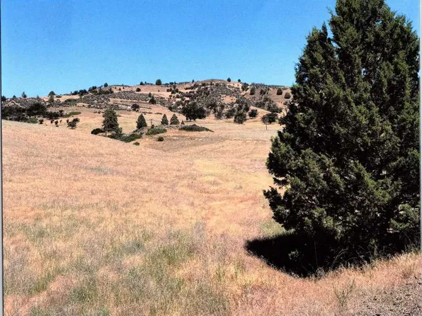 Xox Dennis Pl, Hornbrook, CA 96044