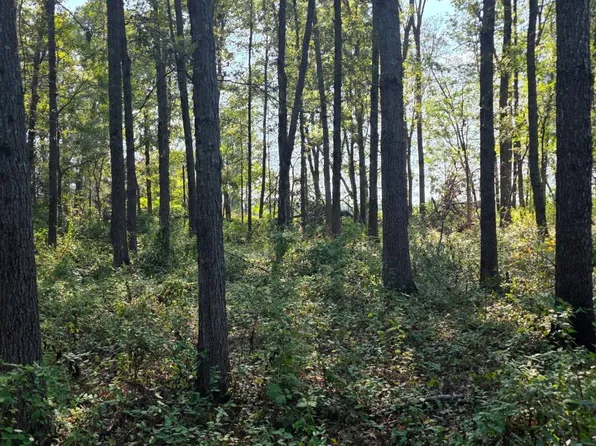 0 County Road 450 N, Fairfield, IL 62837