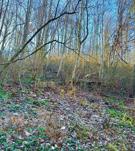 Manis Hollow Rd, Gatlinburg, TN, 37738