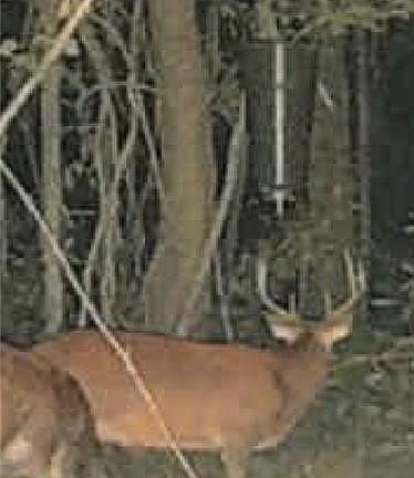 4th image of W Dutch Rd