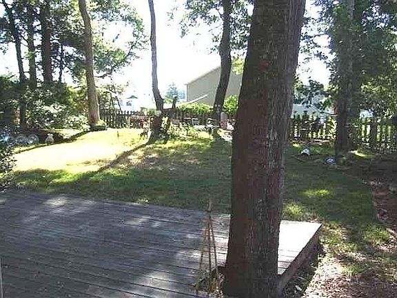 5th image of 123 Sir Chandler Dr