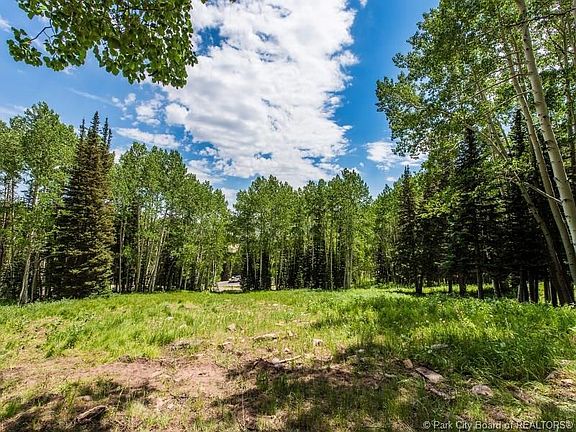 3rd image of 195 White Pine Canyon Rd #195