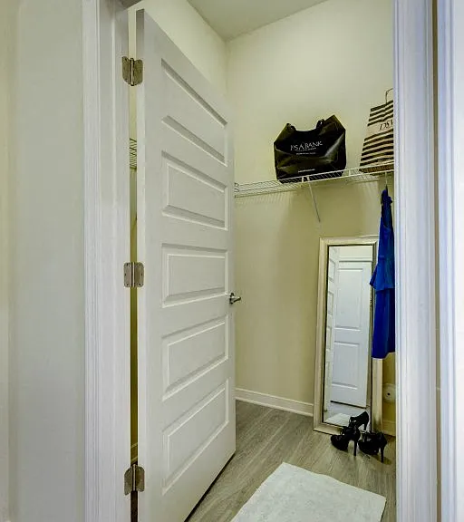 Walk in closet in master bedroom