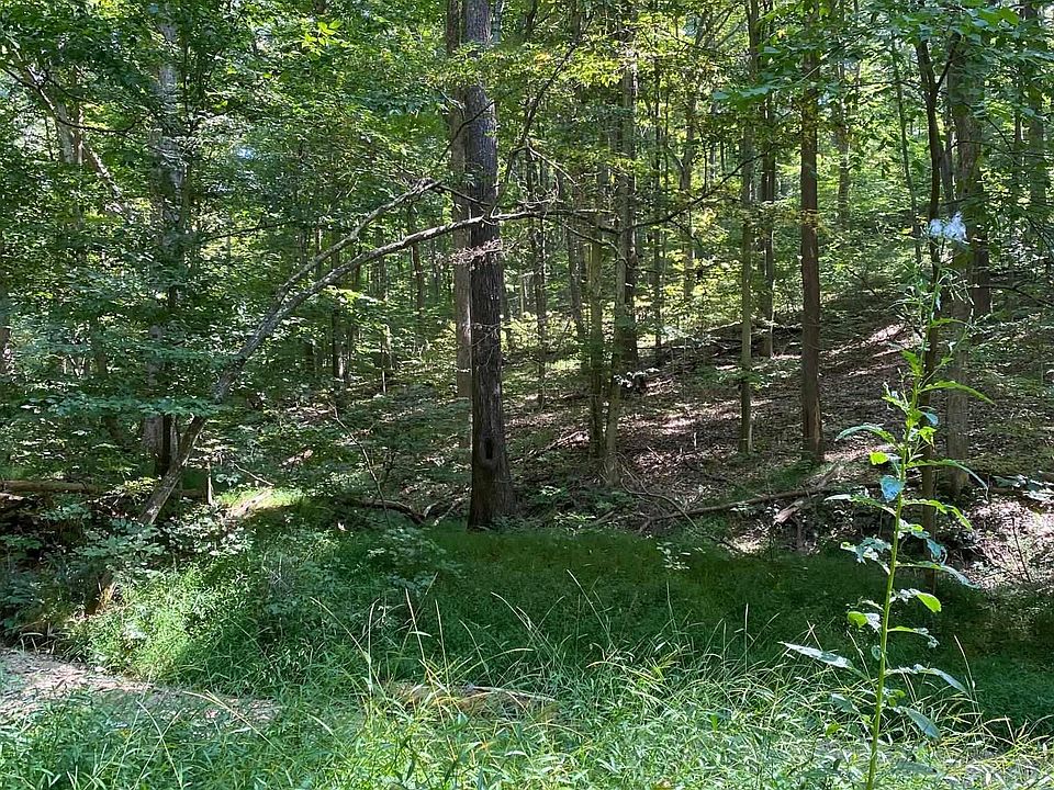 2nd image of E Ramp Creek Rd