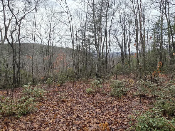 778 Eastridge Pass, Monterey, TN 38574