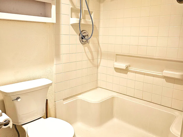 Primary bathroom