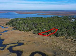 134 Blackbeard Ct NE, Townsend, GA 31331